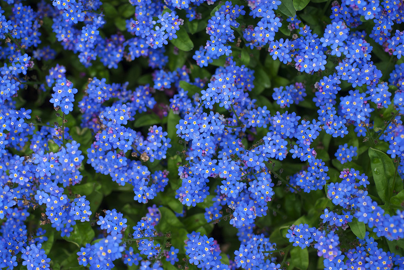 0_878e6_c3dd1ba9_XL.jpg