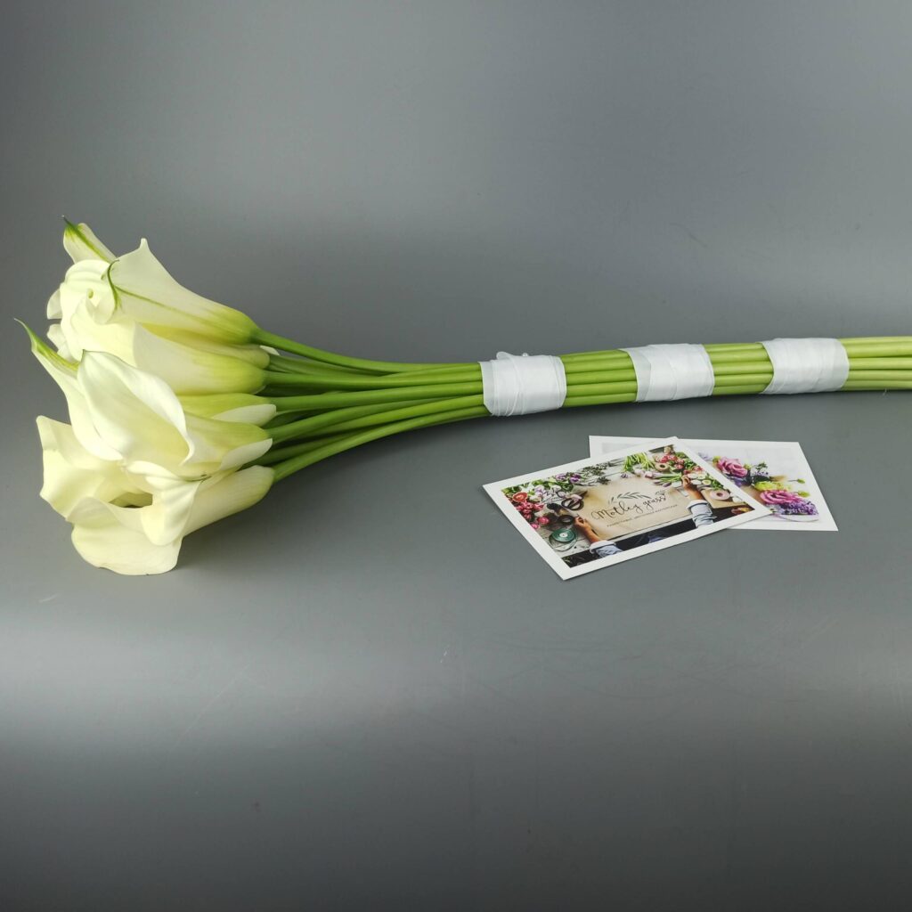 19 белых длинных калл