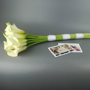 19 белых длинных калл