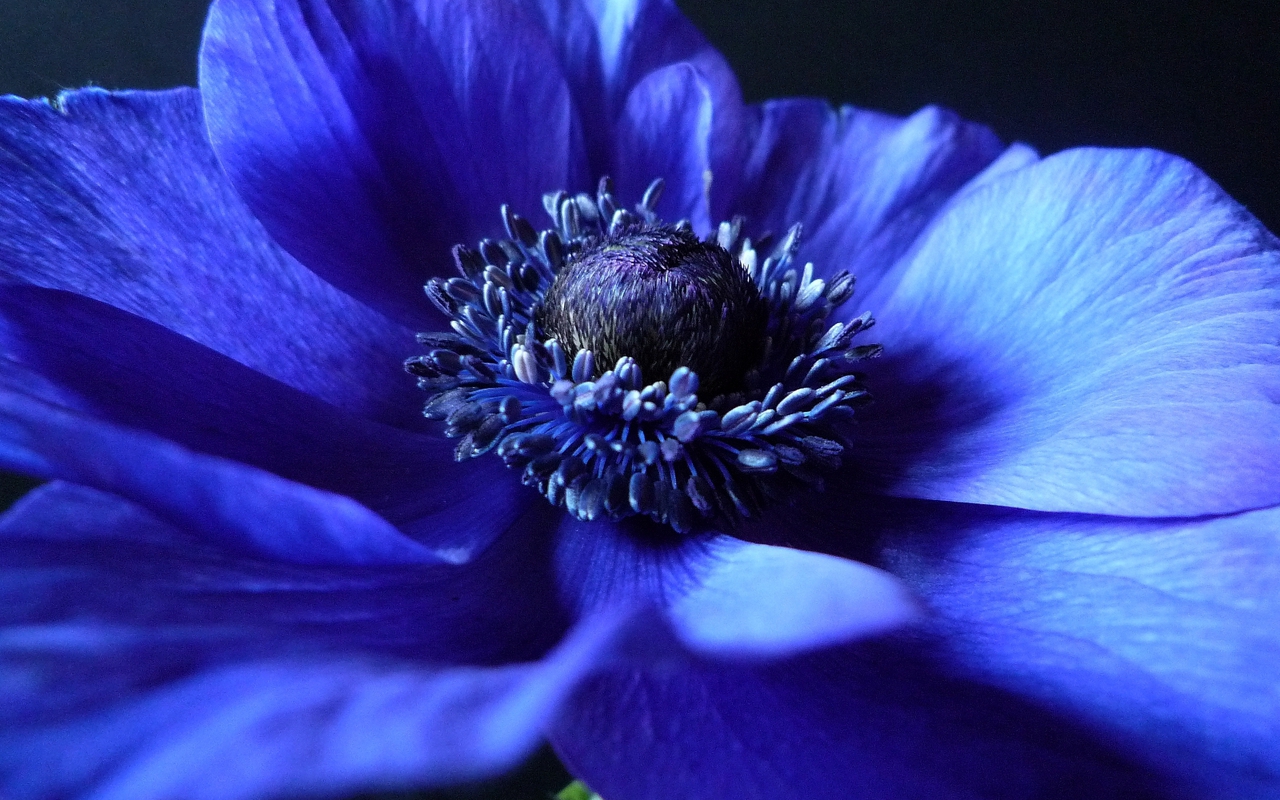 191742_1280_800.jpg