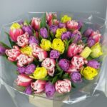 51 разноцветный тюльпан