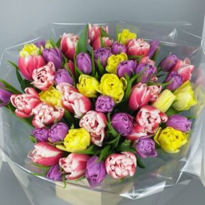 51 разноцветный тюльпан