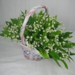 51 ландыш в корзине