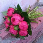 Охапка 15 пионов