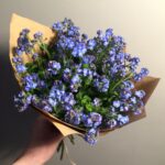 Букет 25 незабудок