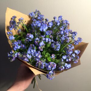 Букет 25 незабудок