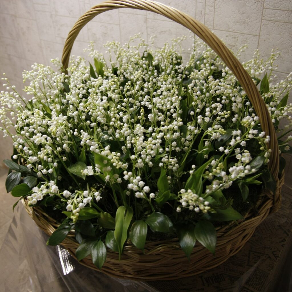 201 ландыш в корзине