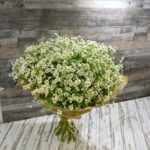 Ромашки поштучно, заказ от 15 штук