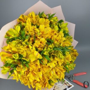 Жёлтые альстромерии 35 штук