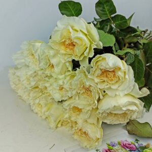 Букет из 19 роз пейшнс