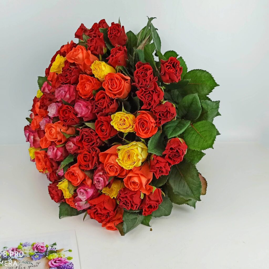 101 роза кения микс 40 см