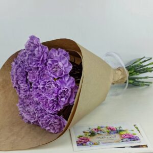 25 лунных гвоздик в крафте