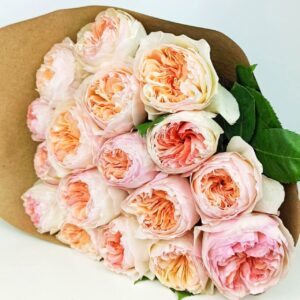 17 пионовидных роз Джулиет