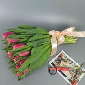 25 розовых тюльпанов с лентой