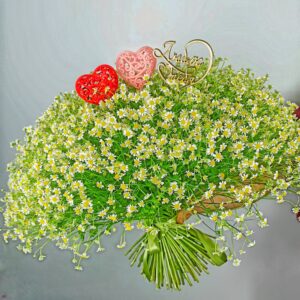 125 ромашек