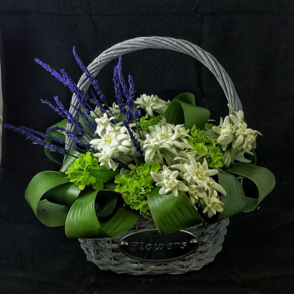 Корзина эдельвейсов