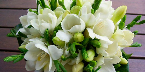 Обновления на сайте. Букеты фрезий.