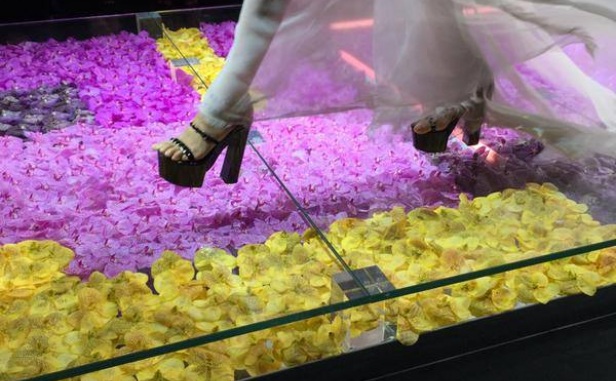Показ Versace и 20 000 орхидей из голландского питомника Anco pure Vanda