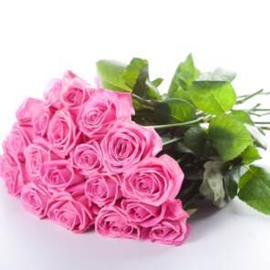23 розы аква 60 см